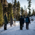 Mind-Body-Nature-Experience-Weg in Pontresina