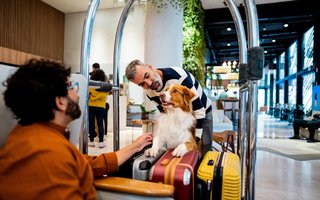 Ferien mit Hund, hundefreundliche Hotels, Hundetourismus Schweiz, Reisen mit Hund, hundefreundliche Destinationen, VSTM, Verband Schweizer Tourismusmanager:innen
