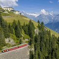 Schynige Platte