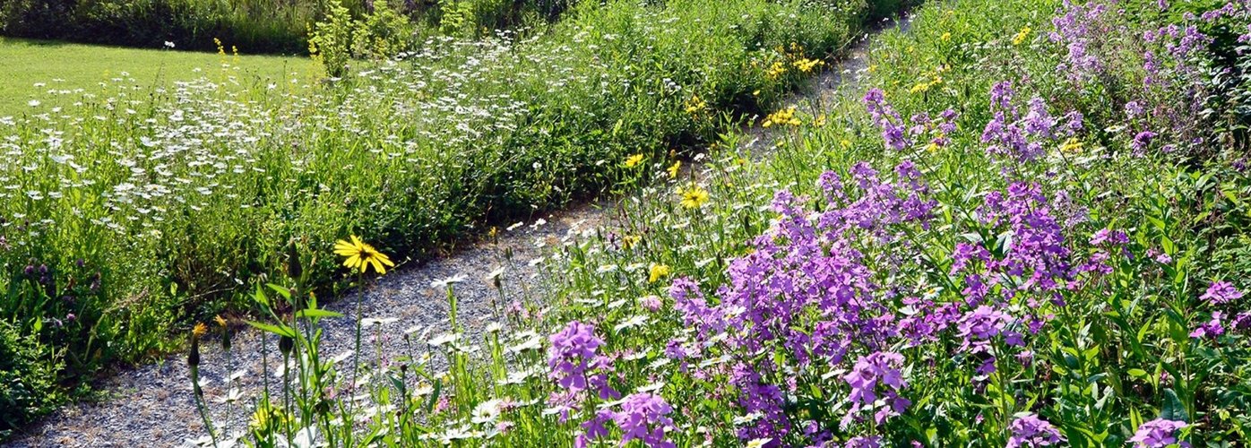 Hotelgarten, Mikroklima, Biodiversität, Nachhaltigkeit, Aussenräume, Klimaanpassung, Transpirationskälte