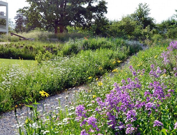 Hotelgarten, Mikroklima, Biodiversität, Nachhaltigkeit, Aussenräume, Klimaanpassung, Transpirationskälte