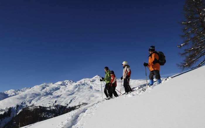 Vier Personen stehen mit einer Schneeschuhausrüstung stehen an einem verschneiten Hang