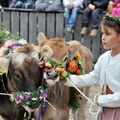 Kind mit Kuh an der Messe