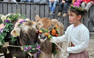 Kind mit Kuh an der Messe