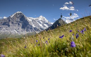 Berner Bergbahnen, Berner Oberland, Bergbahnen, Klimawandel, Ganzjahrestourismus, Raumplanung, Sommersaison, Seilbahnen