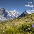 Berner Bergbahnen, Berner Oberland, Bergbahnen, Klimawandel, Ganzjahrestourismus, Raumplanung, Sommersaison, Seilbahnen