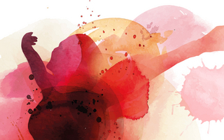 Symbolbild Gesungheitstourismus