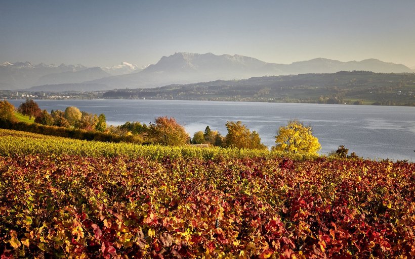 Sempachersee Luzern Tourismus