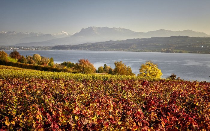 Sempachersee Luzern Tourismus