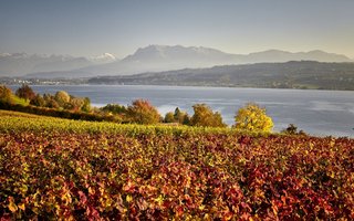 Sempachersee Luzern Tourismus