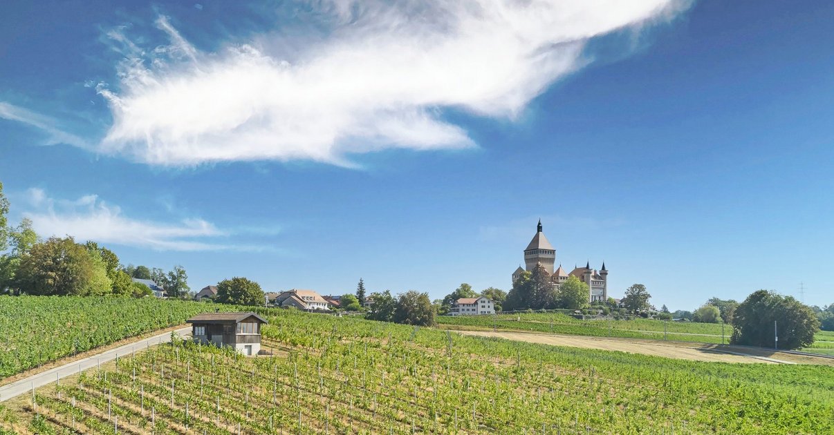 14 finalistes aux Best Of Wine Tourism Awards
