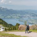 Schweizer Tourismus, Hotellerie Schweiz, US-Touristen Schweiz, Tourismus Asien, HotellerieSuisse, Logiernächte Schweiz, Geopolitik Touris