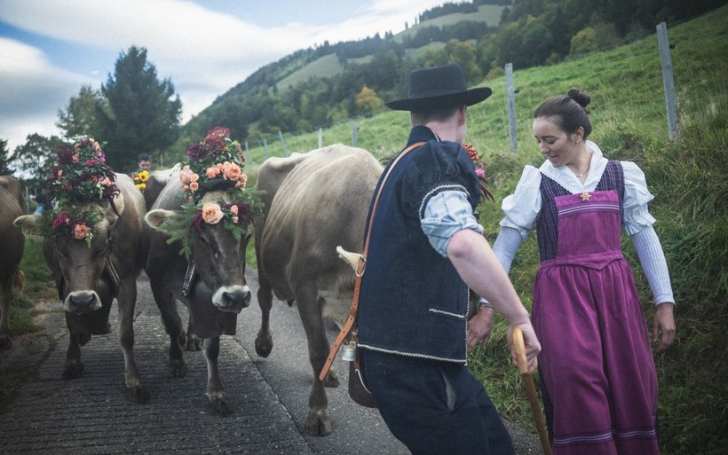 Alpabzug Albeuve Mathilde Gremaud
