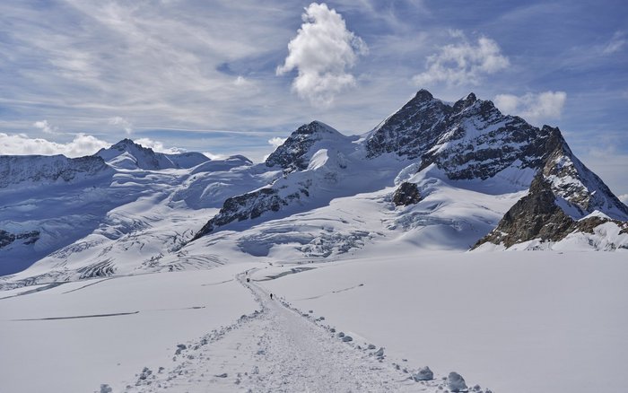 Eiger Schweizer Berghilfe