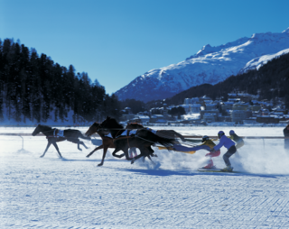 Dieses Jahr treten drei Skikjöring-Grössen ab, die den Sport über viele Jahre geprägt haben.