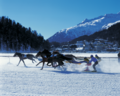 Dieses Jahr treten drei Skikjöring-Grössen ab, die den Sport über viele Jahre geprägt haben.