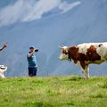 Jungfrau Region, Logiernächte, Tourismus, Grindelwald, Marketing, Verwaltungsrat, Beherbergung