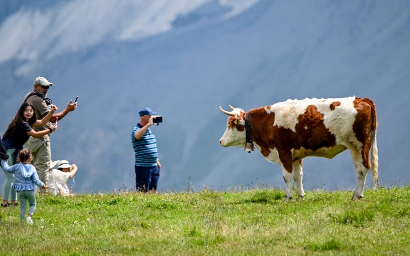 Jungfrau Region, Logiernächte, Tourismus, Grindelwald, Marketing, Verwaltungsrat, Beherbergung