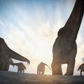 image dinosaures