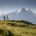 grindelwald