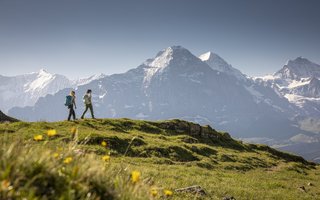 grindelwald