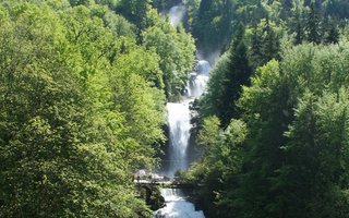 Sommerhitze, Reiseverhalten, Ferienplanung, Coolcations, Dertour Suisse, Marketagent, Tourismus