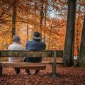 Rentnerpaar sitzt im herbstlichen Wald auf einer Bank.