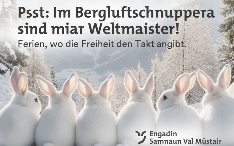 Winterkampagne Bergluft 