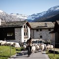 Tourismus, Podcasts, Bibliotheken, Storytelling, Oberengadin, Kultur, Gästeerlebnis