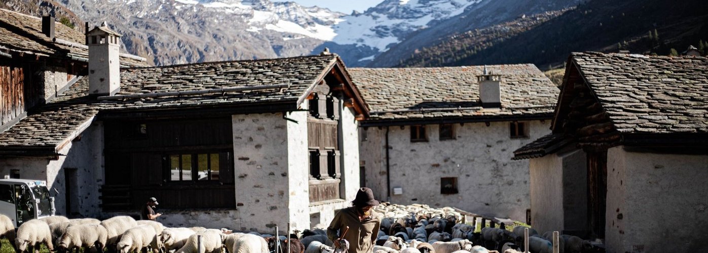 Tourismus, Podcasts, Bibliotheken, Storytelling, Oberengadin, Kultur, Gästeerlebnis