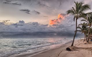 Südsee-Strand mit Palmen