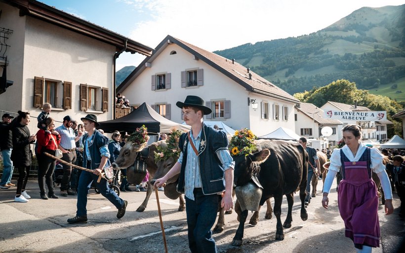 Alpabzug Albeuve Mathilde Gremaud