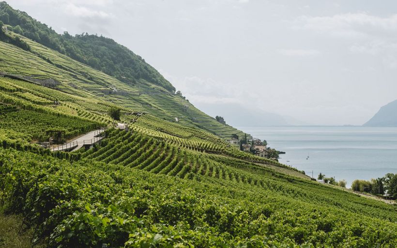 Route des Grand Crus