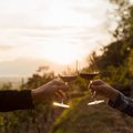 Merlot, Wein, Klimawandel, Weinernte, Tessin, Gialdi Vini, Weinhotel Conca Bella