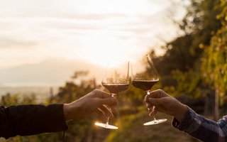 Merlot, Wein, Klimawandel, Weinernte, Tessin, Gialdi Vini, Weinhotel Conca Bella