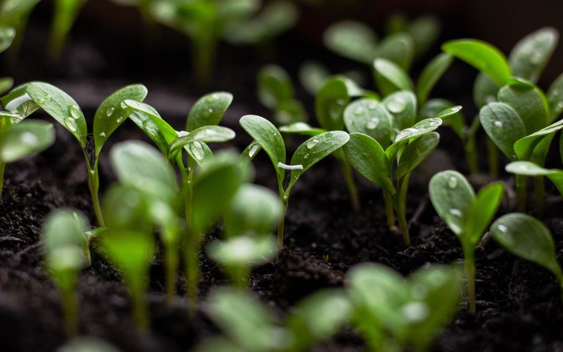 Greenwashing, Nachhaltigkeit, Hotellerie, Umweltversprechen, Nachhaltigkeitskommunikation, Swisstainable, EU-Richtlinie EmpCo, unlauterer Wettbewerb