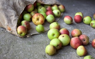 Food Waste, Lebensmittelverschwendung, Esther Kern, Hansjörg Ladurner, Jens Jung, Responsible Hotels, Gastronomie