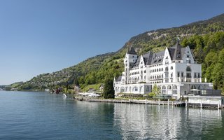 Park Hotel Vitznau