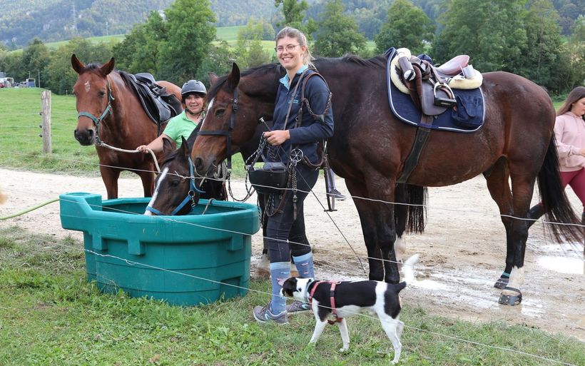Des chevaux et des femmes dans le Jura