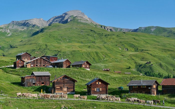 Alpe Schweiz