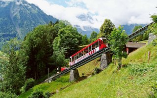 Braunwald