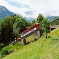 Braunwald